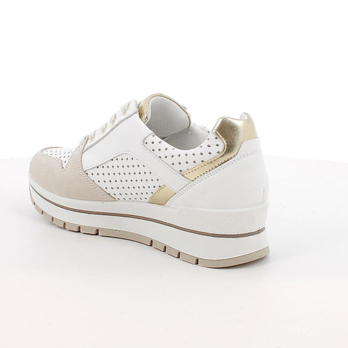 1156033 IGI&CO SHOES 26