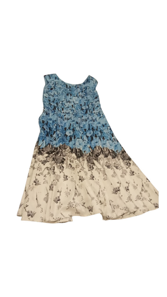 Dress: Blue Roses