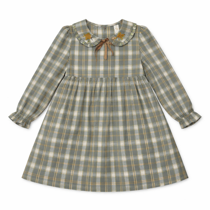 Embroidered Collar Dress