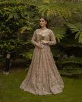 Graceful Radiance