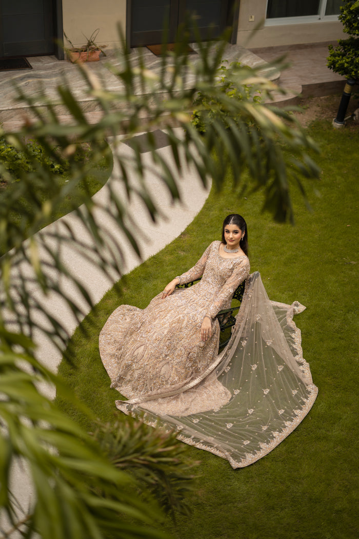 Graceful Radiance