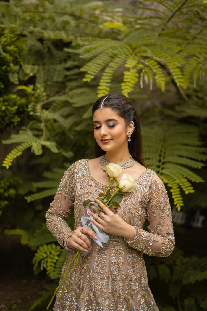 Graceful Radiance