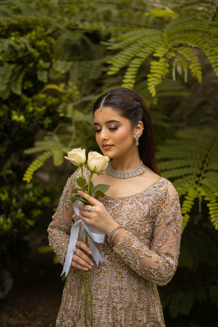 Graceful Radiance