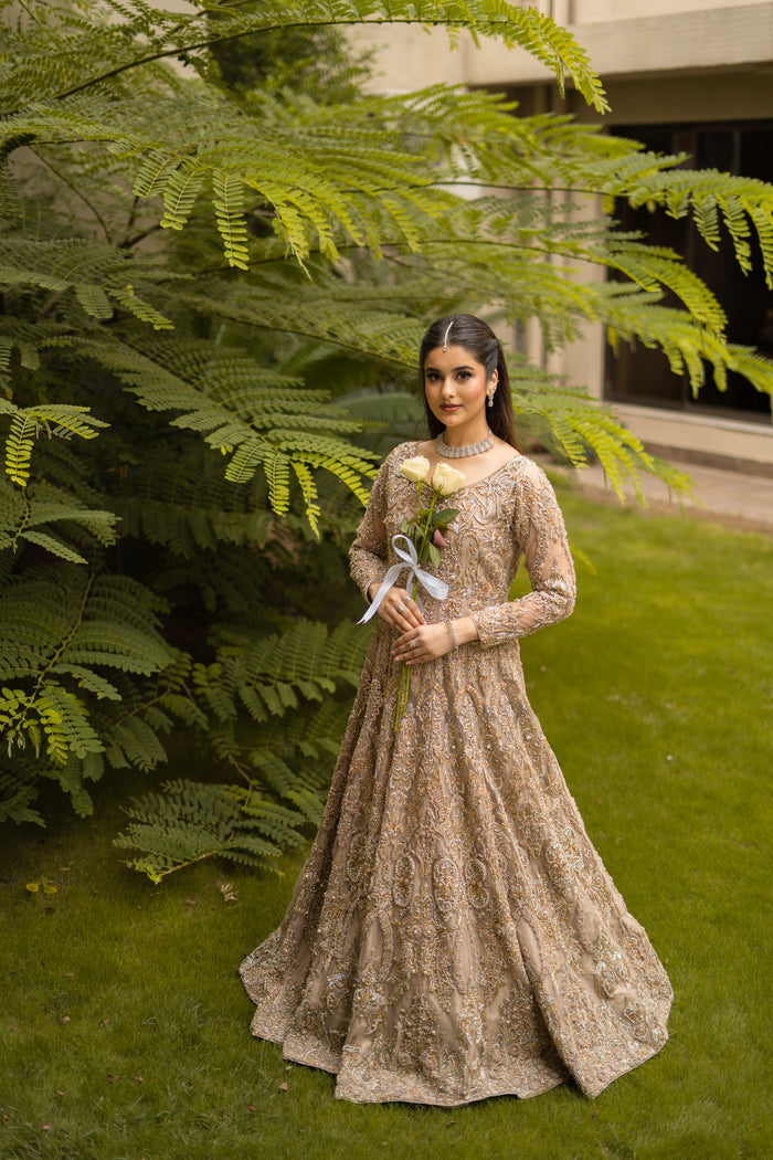 Graceful Radiance
