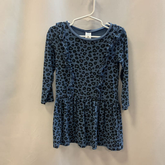Long Sleeve Dress: Leopard