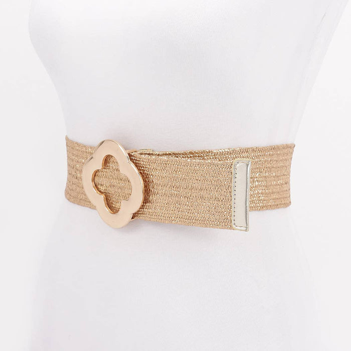 Metal Buckle Metallic Belt: GD