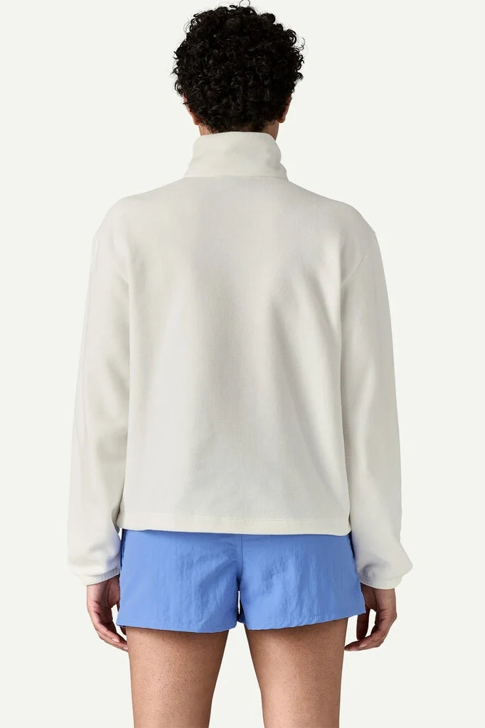 Micro D Half-Zip Fleece Pullover Sweaters & Knits Patagonia