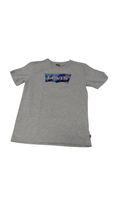 Shirt: Grey/Levi