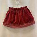 Skirt: Velvet Embroidered Trim