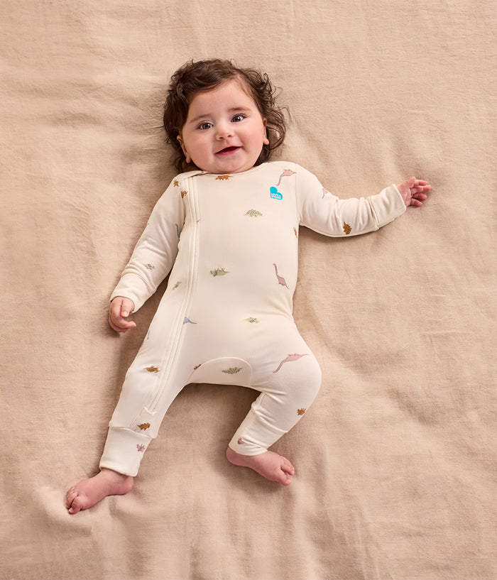 Sleep Suit & Romper Bundle | 0.2 TOG | Breton Stripe | Dino Snore