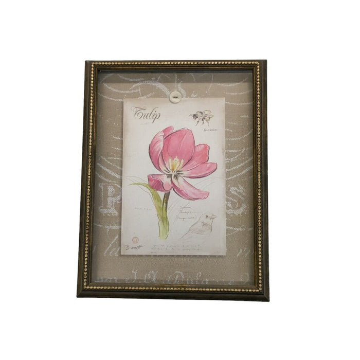 Tulip